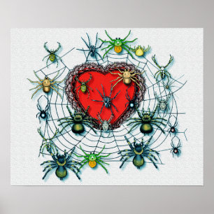 Poster Araignées sur ma copie de toile de coeur
