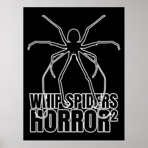 Poster Araignées Whip Scorpion Amblypygi - Entomologie