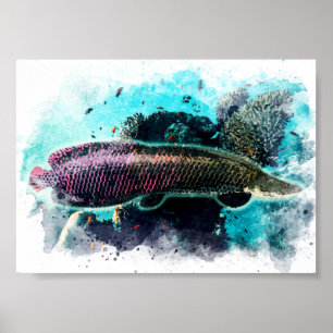 Poster Arapaima Monster Poisson Aquarelle Pirarucu Paiche