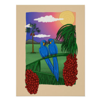 Poster Arara azul - Blue macaw