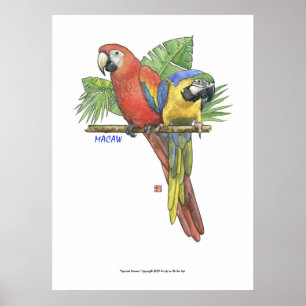 Poster Aras tropicaux