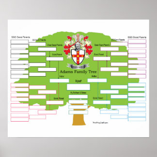 Poster Arborescence de la famille Adams