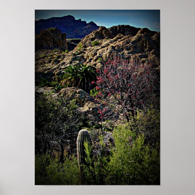 Poster Arboretum Boyce Thompson (Devant)