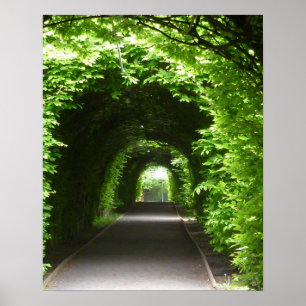 Poster Arbour de jardin botanique ombragé