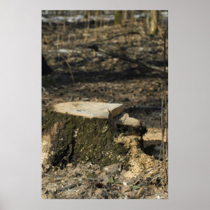 Poster Arbre