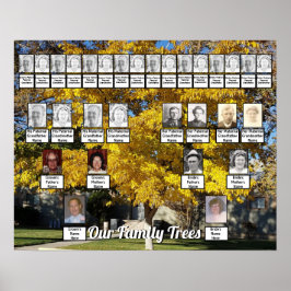 Poster Arbre à feuilles d'automne d'or Photo 2 arbres de
