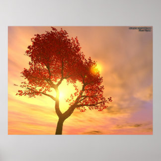 Poster Arbre au coucher du soleil