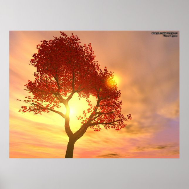 Poster Arbre au coucher du soleil (Devant)