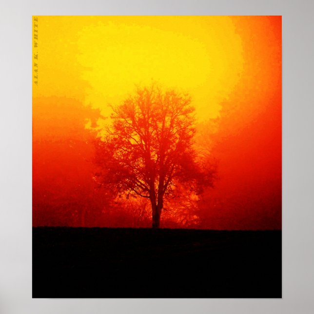 Poster Arbre brûlant (Devant)