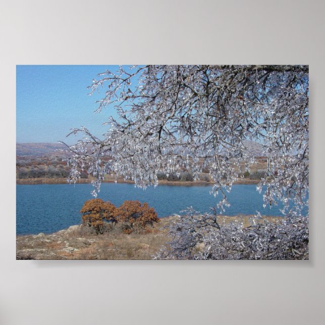 Poster Arbre congelé (Devant)