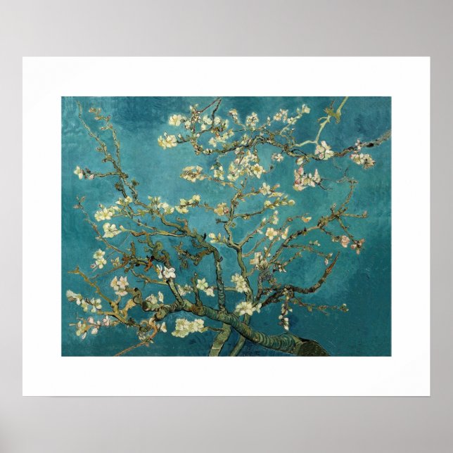 Poster Arbre d'amande en fleurs par Van Gogh (Devant)