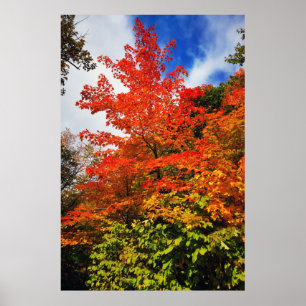 Poster Arbre d'automne