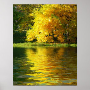 Poster Arbre d'automne dans la forêt avec réflexion