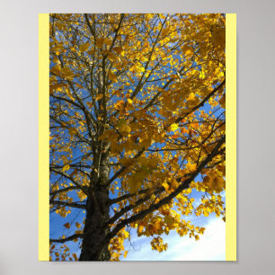 Poster Arbre d'automne jaune