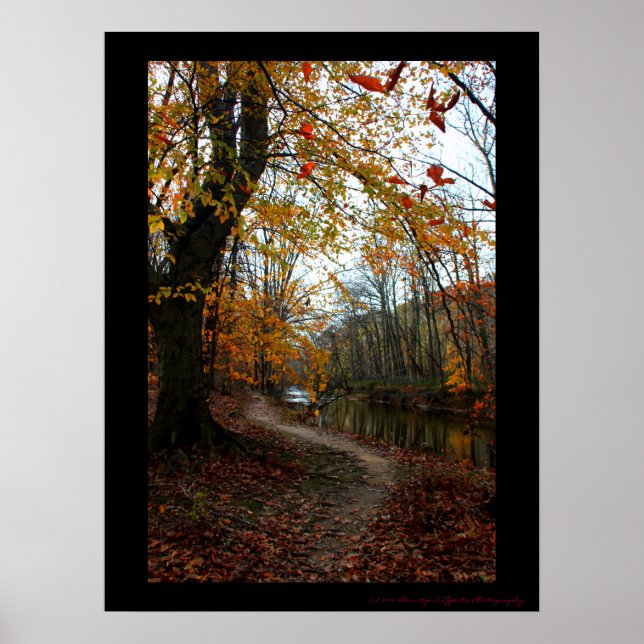 Poster Arbre d'automne le long du chemin de vent (Devant)