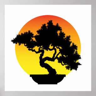 Poster Arbre de bonsaïs avec le coucher du soleil