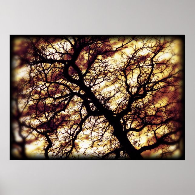 Poster Arbre de chêne (Devant)