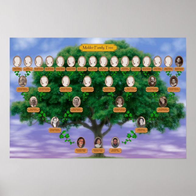 Poster Arbre de famille Makler - 19 x 13 (Devant)