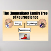 Arbre de famille Neuroscience