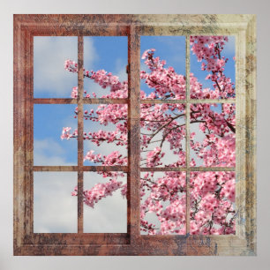 Poster Arbre de fleurs de cerisiers de fenêtre