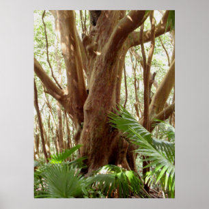 Poster Arbre de goyave fraise et palmiers