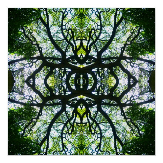 Poster Arbre de Kaleidoscope (Devant)