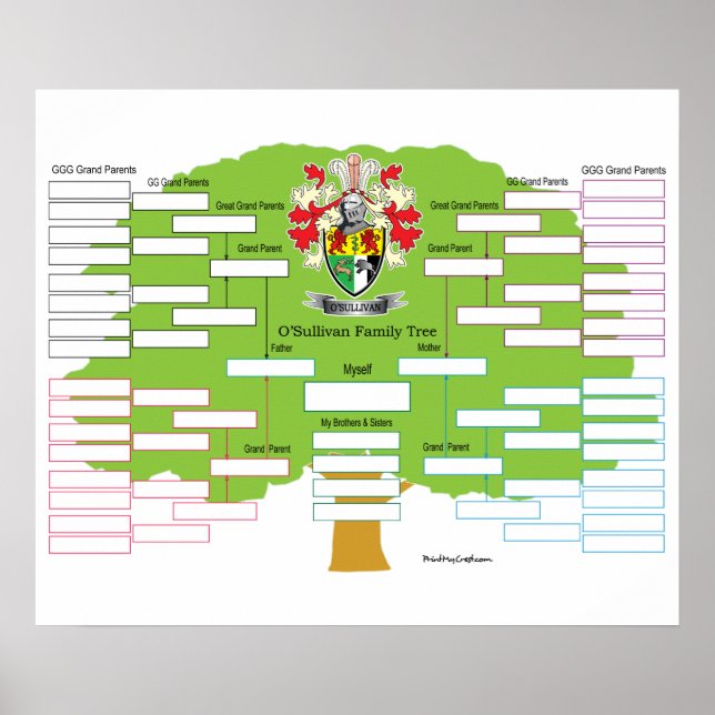 Poster Arbre de la famille O-Sullivan (Devant)