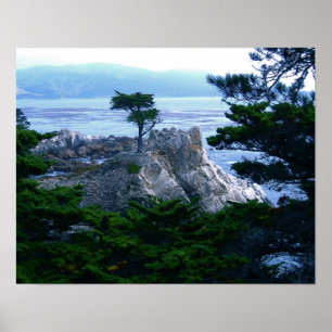 Poster arbre de montery
