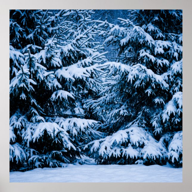 Poster Arbre de Noël de la forêt d'hiver (Devant)