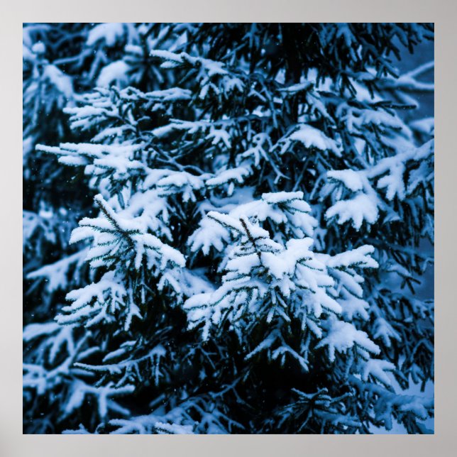 Poster Arbre de Noël hivernal neige (Devant)