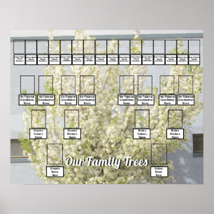 Poster Arbre de printemps en fleurs blanches Photo 2 Arbr