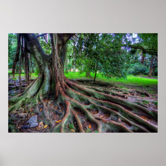 Poster Arbre De Vie (Devant)