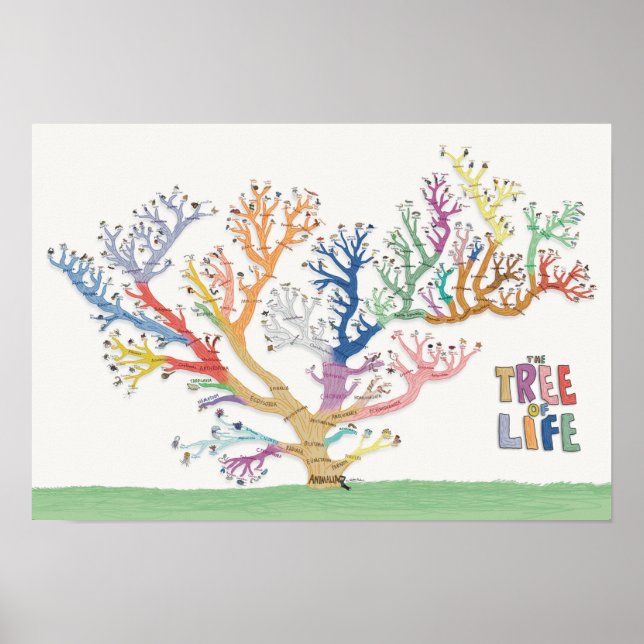 Poster Arbre de vie (19x13) (Devant)