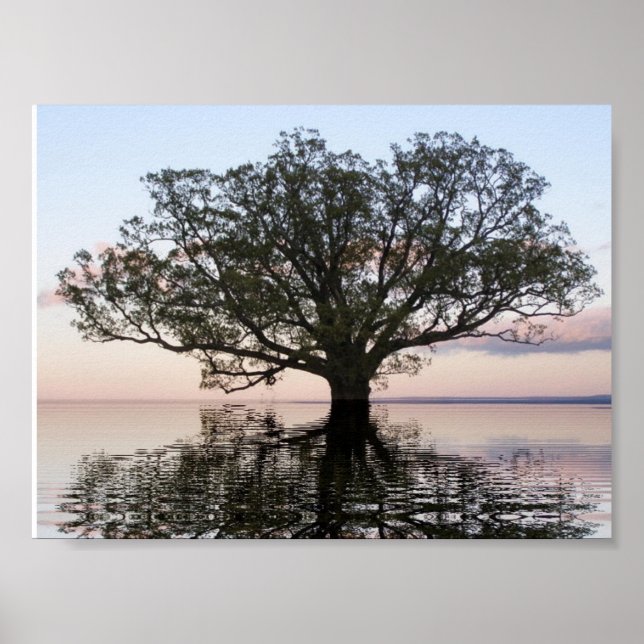 Poster Arbre de vie (Réflexions) (Devant)