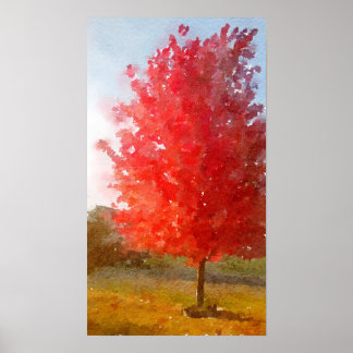 Poster Arbre d'érable d'automne en couleur, aquarelle