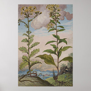 Poster Arbre d'or de l'art botanique antique