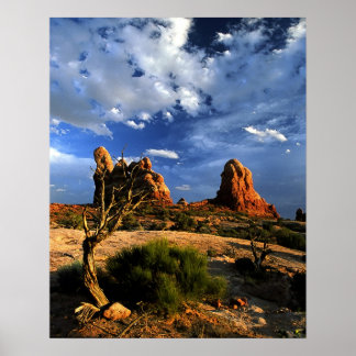 Poster Arbre éffrayant