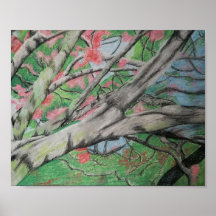 Arbre en Fleurs