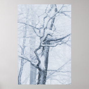 Poster Arbre enneigé gelé