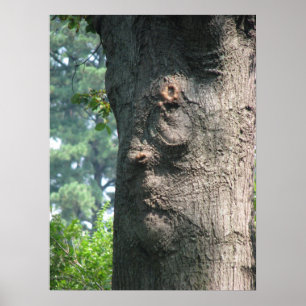 Poster Arbre expressif