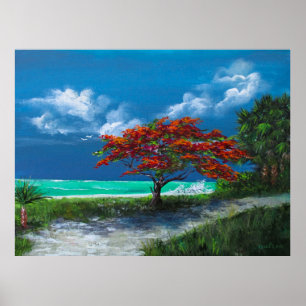 Poster Arbre flamboyan, Caraïbes, Porto Rico