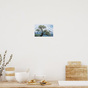 Poster Arbre fleuri solitaire et montagnes enneigées