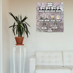 Poster Arbre généalogique de la famille des fleurs de pru