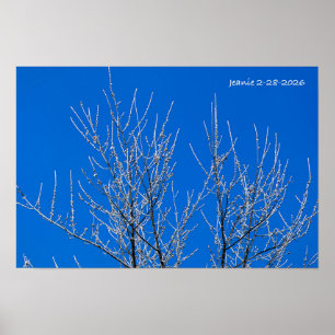 Poster Arbre givré