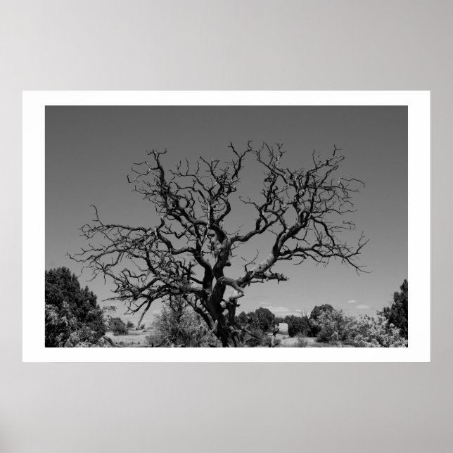 Poster Arbre mort (Devant)