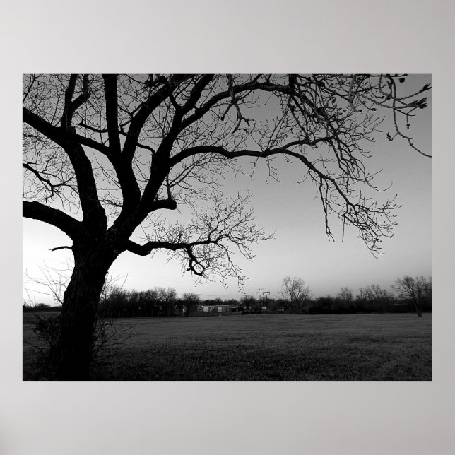 Poster Arbre narquois (Devant)
