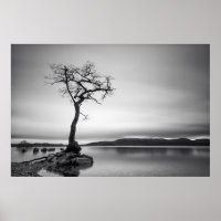 Arbre nu
