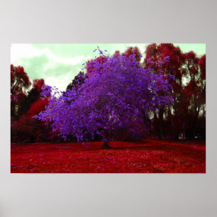 Poster Arbre psychédélique