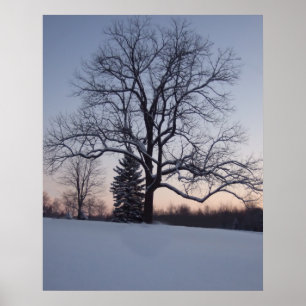Poster Arbre solitaire