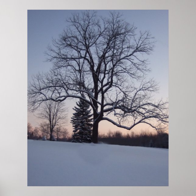 Poster Arbre solitaire (Devant)